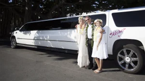 Door to Door Limo Service